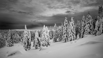 winter has come / ***