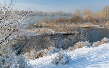 winter / ***