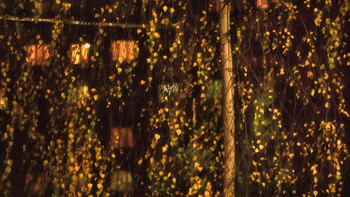 Veil / ***