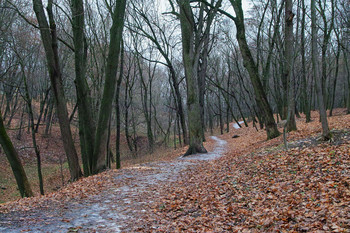 Yesterday's snow / ***