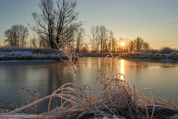Frosty morning. / ***