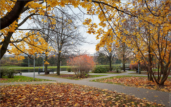 Autumn in the park ... / ***