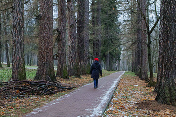 Little Red Riding Hood / ***