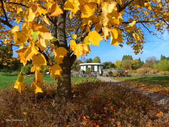 Loki Schmidt Garten Hamburg / ***