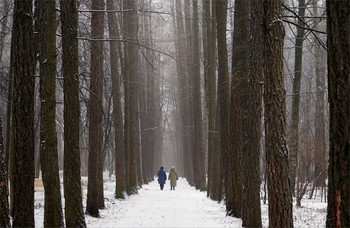 In the old park / ***