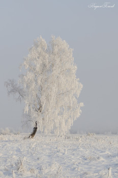 Lonely ... / ***