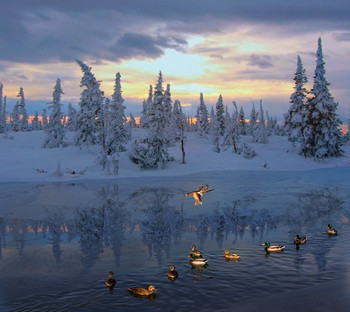 &nbsp; / —————-