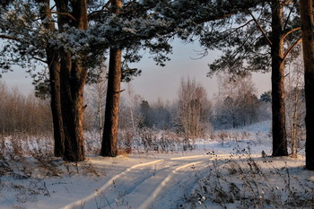 Evening. / ***
