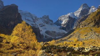 Went autumn / ***