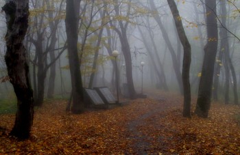 In the fall the park ... / ***