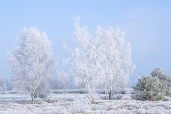 Winterwelt in high key / aufgenommen am Rande des Weges
