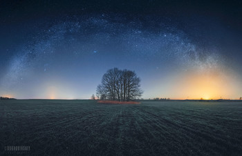 Under the stars / ***