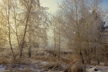 Just winter / ...