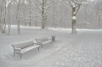 After snowfall / ***