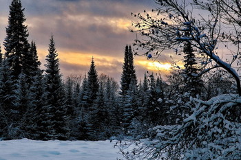 Spring evening. / ***