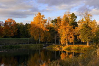 Autumn Gold / ***
