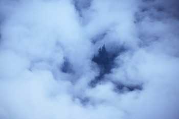 &nbsp; / Mt.Juneau Wilderness, ALASKA.