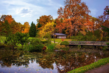Japanese Garden / ***