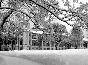 Winter in Tsaritsyno / ***