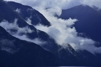 In the Fog-3 / Fjordland NP, NEW ZEALAND