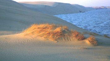 Oasis ... / ***