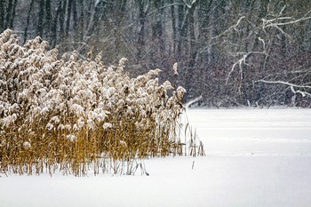 Bottomless lake / ***