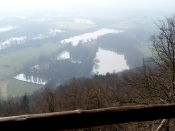 Teiche im Nebel / Blick auf die alten Kiesteiche im Naturschutzgebiet Taubenborn bei Höxter