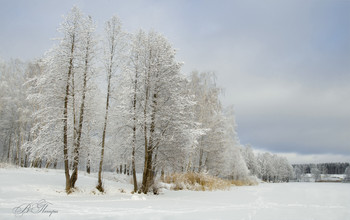 winter has come / ***