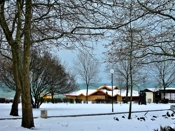 in the park / ***