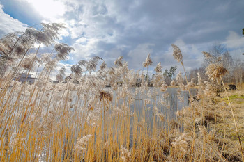 On the lake / ***