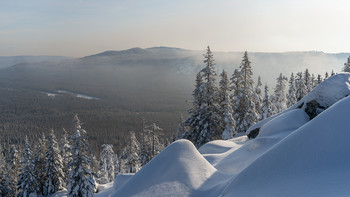 Happy New Year! / ***