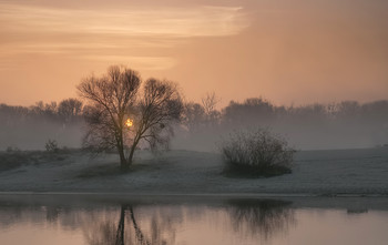 Coldest January / ***