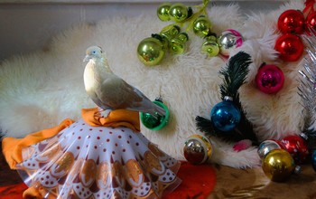 Happy New Year! / ***