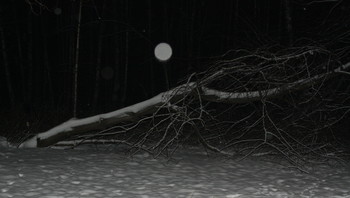 Full moon / ***