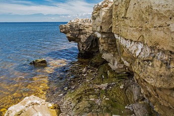 The rocky shore / ***