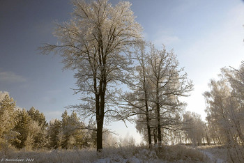 Winter picture / ...