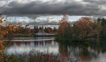 Autumn / ***
