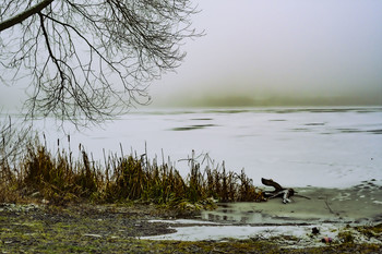 The smell of autumn / ***