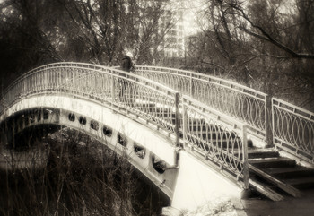 Bridge / ***