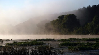 Foggy morning / ***