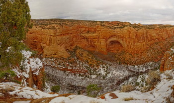 &nbsp; / Aspen Trail in the Navajo National Monument, Arizona, USA