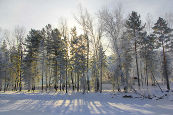 Freeze / ***