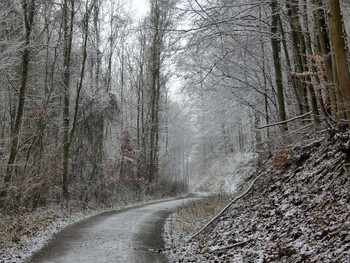 ein wenig Winter / Etwas Schnee macht den Waldspaziergang schöner ..