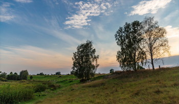 On the other bank. / ***