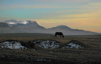 The first rays. / ***