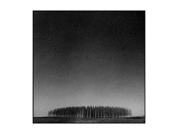 Birch Grove / ***