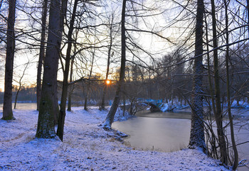 At the end of the day / ...