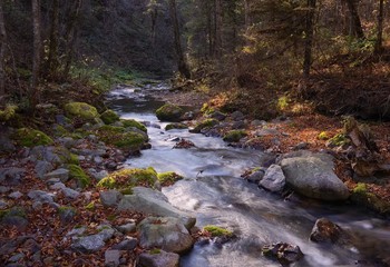 Stone landscape / ***