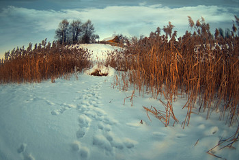 house on the hill / ***