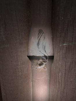 Snowblind / aus dem Trichter in die Wirklichkeit